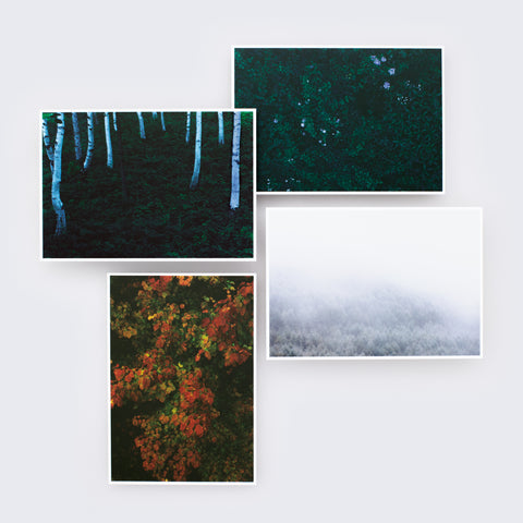 LOUIS VUITTON FOREST Postcard A