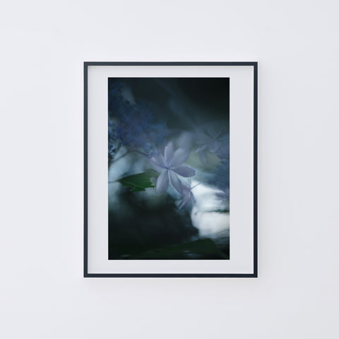 LUMIÈRE #03