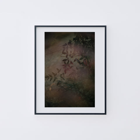 LUMIÈRE #100