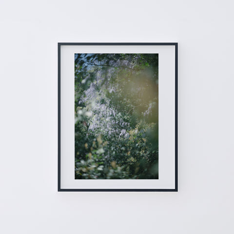 LUMIÈRE #122