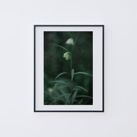 LUMIÈRE #93