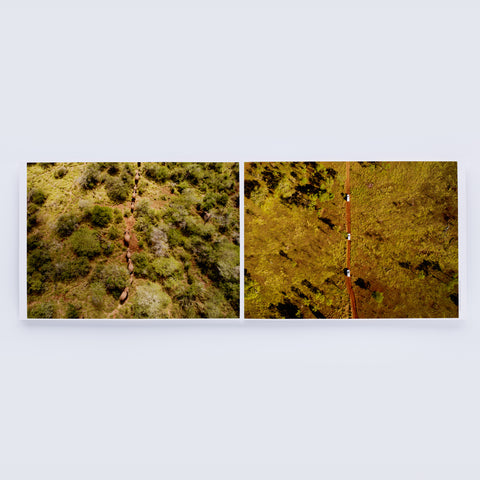 5大陸 Trails Into the Unknown
